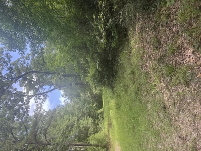 East Texas Hunting/Recreational Land For Sale - image 26