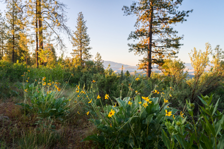 Eastern Oregon Hooker Flat Ranch - image 2
