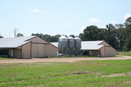 12 House Poultry Farm for Sale in Magee, Mississippi - image 38