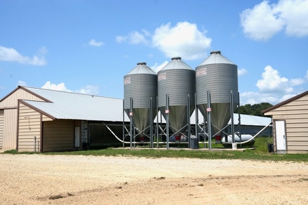 12 House Poultry Farm for Sale in Magee, Mississippi - image 29