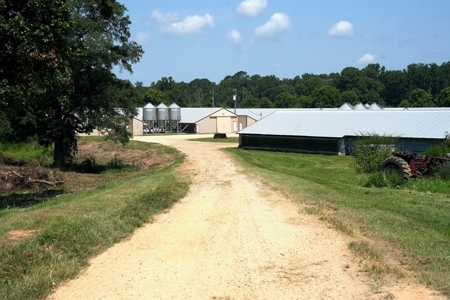 12 House Poultry Farm for Sale in Magee, Mississippi - image 17