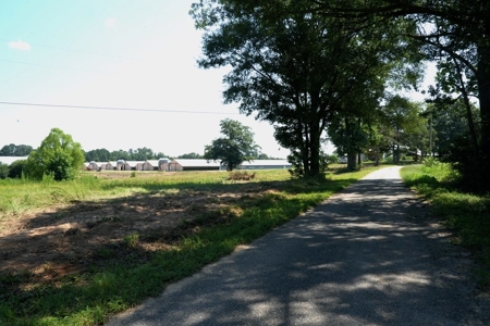 12 House Poultry Farm for Sale in Magee, Mississippi - image 6
