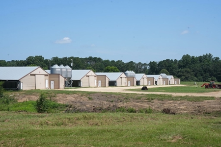12 House Poultry Farm for Sale in Magee, Mississippi - image 2