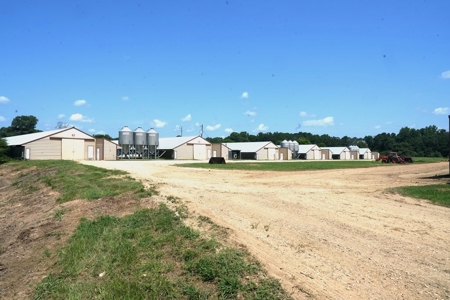 12 House Poultry Farm for Sale in Magee, Mississippi - image 8