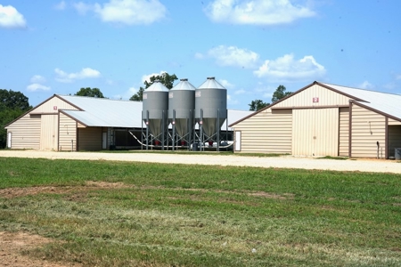 12 House Poultry Farm for Sale in Magee, Mississippi - image 7