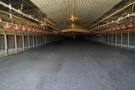 12 House Poultry Farm for Sale in Magee, Mississippi - image 11