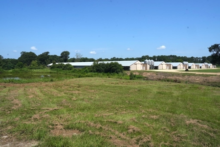 12 House Poultry Farm for Sale in Magee, Mississippi - image 5