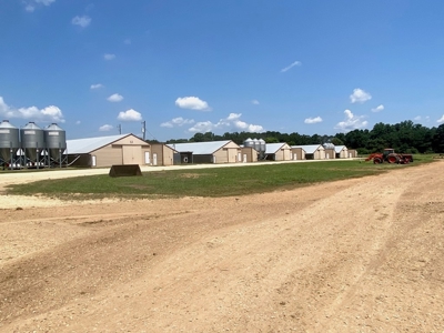 12 House Poultry Farm for Sale in Magee, Mississippi - image 40