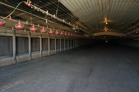 12 House Poultry Farm for Sale in Magee, Mississippi - image 14