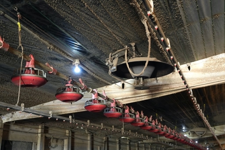 12 House Poultry Farm for Sale in Magee, Mississippi - image 13