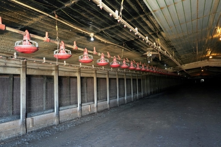 12 House Poultry Farm for Sale in Magee, Mississippi - image 12