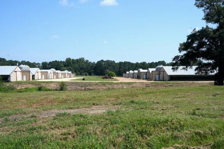 12 House Poultry Farm for Sale in Magee, Mississippi - image 3