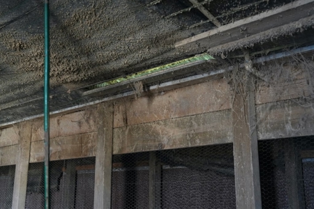 12 House Poultry Farm for Sale in Magee, Mississippi - image 16