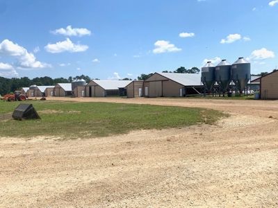 12 House Poultry Farm for Sale in Magee, Mississippi - image 39