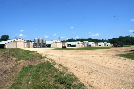 12 House Poultry Farm for Sale in Magee, Mississippi - image 34