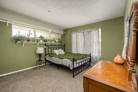 Spacious Home with Shop and Acreage for Sale in Mesilla Park, NM - image 19