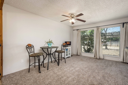 Spacious Home with Shop and Acreage for Sale in Mesilla Park, NM - image 9