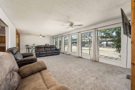 Spacious Home with Shop and Acreage for Sale in Mesilla Park, NM - image 11