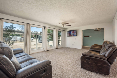 Spacious Home with Shop and Acreage for Sale in Mesilla Park, NM - image 10