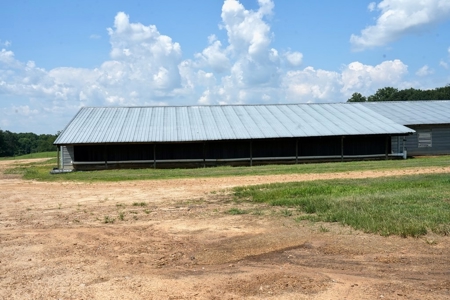 Upgraded Poultry Farm in Lena, MS on 40 Acres for Sale - image 30