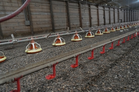 Upgraded Poultry Farm in Lena, MS on 40 Acres for Sale - image 14