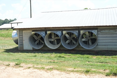 Upgraded Poultry Farm in Lena, MS on 40 Acres for Sale - image 33