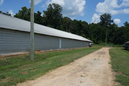 Upgraded Poultry Farm in Lena, MS on 40 Acres for Sale - image 36