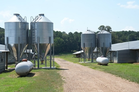 Upgraded Poultry Farm in Lena, MS on 40 Acres for Sale - image 17