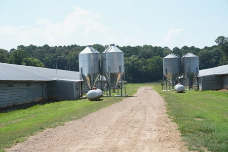 Upgraded Poultry Farm in Lena, MS on 40 Acres for Sale - image 31