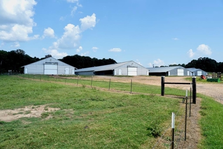 Upgraded Poultry Farm in Lena, MS on 40 Acres for Sale - image 1
