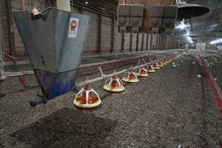 Upgraded Poultry Farm in Lena, MS on 40 Acres for Sale - image 13