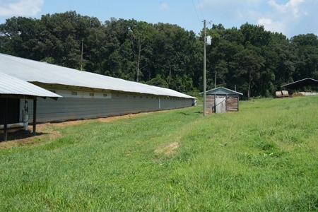 Upgraded Poultry Farm in Lena, MS on 40 Acres for Sale - image 27