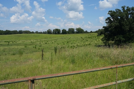 Upgraded Poultry Farm in Lena, MS on 40 Acres for Sale - image 6
