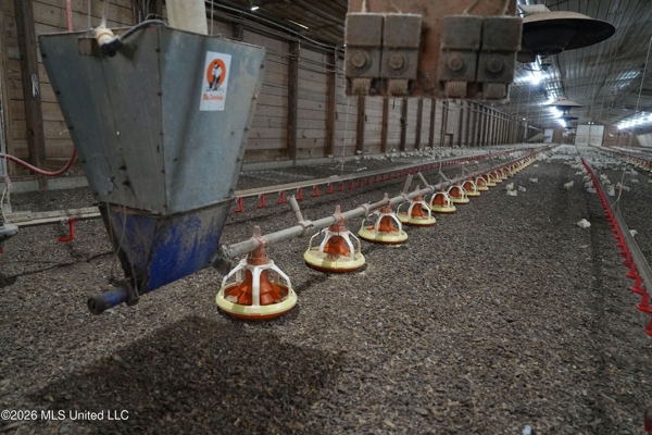 6-House Poultry Farm for Sale in Lena, MS