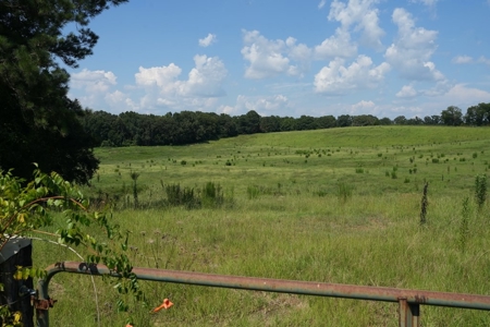 Upgraded Poultry Farm in Lena, MS on 40 Acres for Sale - image 7