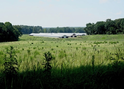 Upgraded Poultry Farm in Lena, MS on 40 Acres for Sale - image 4