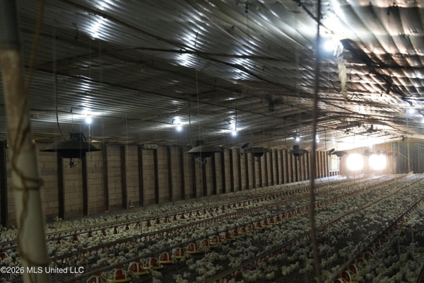 6-House Poultry Farm for Sale in Lena, MS