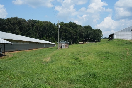 Upgraded Poultry Farm in Lena, MS on 40 Acres for Sale - image 28