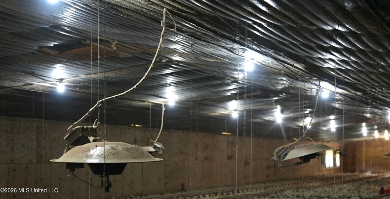 6-House Poultry Farm for Sale in Lena, MS