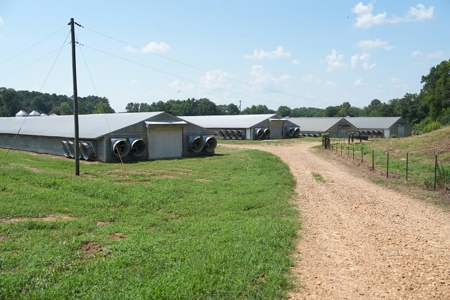 Upgraded Poultry Farm in Lena, MS on 40 Acres for Sale - image 9