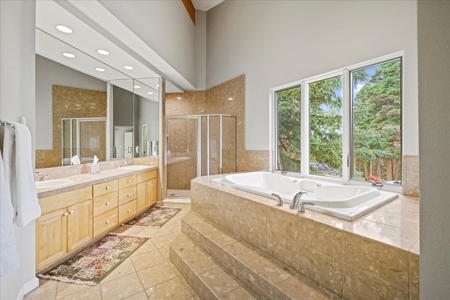 Multi-Property Home and Equine Property for Sale in Ridgway, CO - image 1