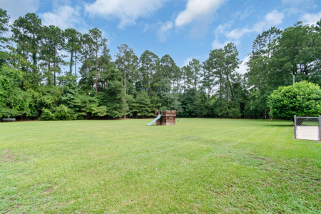 SC Colonial Revival Estate With Acreage - image 10