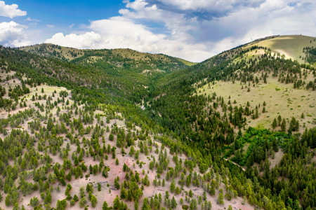 Hunting and Fishing Property in Central Montana - image 8