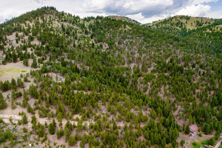 Hunting and Fishing Property in Central Montana - image 10