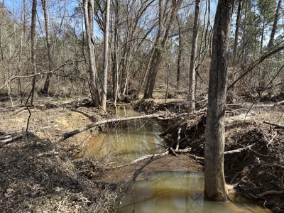 East Texas Hunting/Recreational/Timber Tract For Sale - image 24