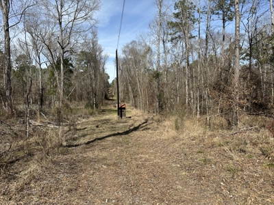 East Texas Hunting/Recreational/Timber Tract For Sale - image 20