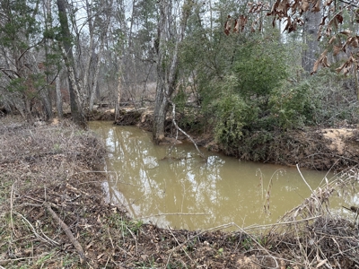 East Texas Hunting/Recreational/Timber Tract For Sale - image 1