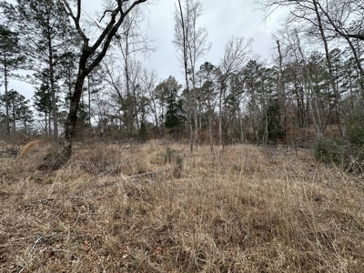 East Texas Hunting/Recreational/Timber Tract For Sale - image 19