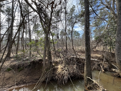 East Texas Hunting/Recreational/Timber Tract For Sale - image 37