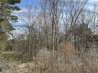 East Texas Hunting/Recreational/Timber Tract For Sale - image 33